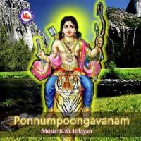 Villali Veerane Veeramani Various Artists Song Download Mp3