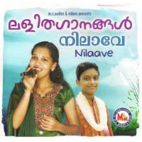 Nilaave Nilaave Various Artists Song Download Mp3