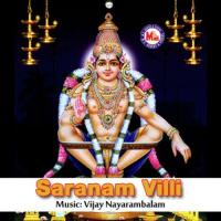 Swamiye Saranam Ayyappo Various Artists Song Download Mp3