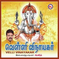 Aanai Mukathonai Various Artists Song Download Mp3