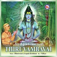 Painguvalai Various Artists Song Download Mp3