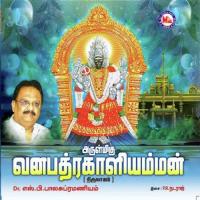 Arulmigu Vanabhadra Kaliamman Various Artists Song Download Mp3