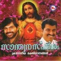 Kannum Niraiyum Various Artists Song Download Mp3