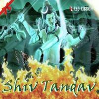 Om Namah Shivay - Meditative Lalitya Munshaw Song Download Mp3