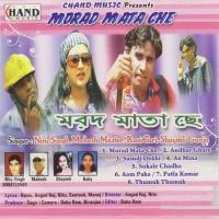 Aam Paka Neetu Singh,Mahesh Song Download Mp3