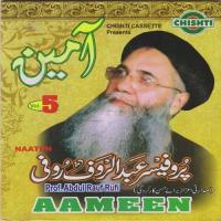 Meri Aaezoo Hai Madina Madina Prof. Abdul Rauf Rufi Song Download Mp3