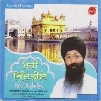 Jis Ki Vast Soi Lai Jayega Bhai Surinder Singh Ji Patel Nagar Delhi Wale Song Download Mp3