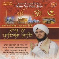 Mere Shahib Mere Shahib Gurnimit Singh,Raaj Rangila (Chandigarh Wale) Song Download Mp3