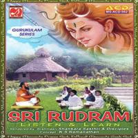 Sri Rudram - Namakam Sri Brahmasri Sankara Sasthri Song Download Mp3