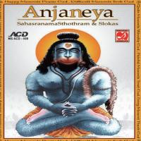 Sri Anjaneya Dyana Manthram Sri Brahmasri Sankara Sasthri,Sri Bharadhwaja Sasthri Song Download Mp3