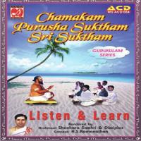 Chamakam - Purusha Suktham - Sri Suktham Sri Brahmasri Sankara Sasthri Song Download Mp3