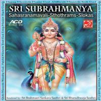 Sri Subrahmanya Karavalamba Stothram Sri Brahmasri Sankara Sasthri,Sri Bharadhwaja Sasthri Song Download Mp3