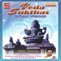 Purusha Suktham Sri Brahmasri Sankara Sasthri Song Download Mp3