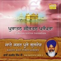 Nadiyan Vaar Bichhuniya Bhai Bakhshish Singh Ji Song Download Mp3