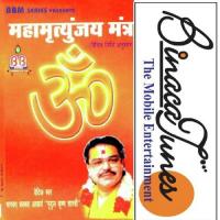 Dhyaan Mridul Krishna Shastri Song Download Mp3