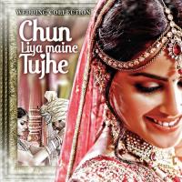 Utha Le Jaoonga (Yeh Dil Aashiqana) Kumar Sanu,Anuradha Paudwal Song Download Mp3