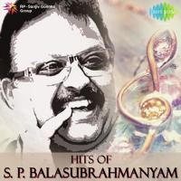 Tere Mere Beech Men (From "Ek Duje Ke Liye") Lata Mangeshkar,S.P. Balasubrahmanyam Song Download Mp3