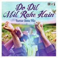 Tumko Sirf Tumko (Kuch Khatti Kuch Meethi) Kumar Sanu Song Download Mp3