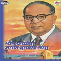 Bhim Sainik Tyala Bhari Padal Vishnu Shinde Song Download Mp3