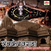 Tryambakeshwaracha Jagat Gumtoy Naara Bharti Madhavi Song Download Mp3