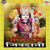 Jivdani Mauli Ga Various Artists Song Download Mp3