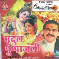 Krishna Jinka Naam Hai Mridul Krishna Shastri Song Download Mp3