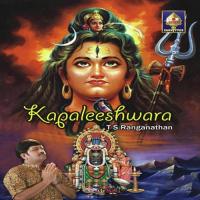 Shiv Namavali Dhun T.S. Ranganathan Song Download Mp3