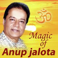 Radhey Radhey Bol Anup Jalota Song Download Mp3