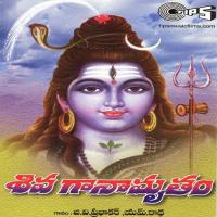 Dhaga Dhaga Merase G.V. Prabhakar,M. Radha Song Download Mp3