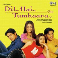 Dil Hai Tumhaara Alka Yagnik,Kumar Sanu,Udit Narayan Song Download Mp3