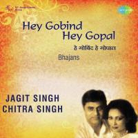 Mere To Girdhar Gopal Chitra Singh Song Download Mp3