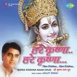 Shree Krishna Naam Dhun Jagjit Singh Song Download Mp3