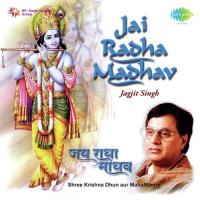 Baat Nihare Ghanshyam (From "Bhajan Upahar - Jagjit Singh - Saanwara") Jagjit Singh Song Download Mp3