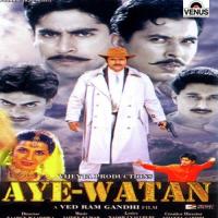 Aye Watan Sonu Nigam Song Download Mp3