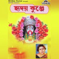 Premer Alo Sir Annada Thakur Song Download Mp3