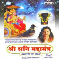 Jai Shanidev Din Dayal-Aarti Shree Shani Dev Ki Anuradha Paudwal Song Download Mp3