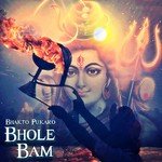 Bhole Tere Damru Ne Tarun Toofani Song Download Mp3