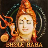 Mere Bhole Baba Shahnaz Akhtar Song Download Mp3