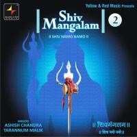 Shiv Namo Namo Ashish Chandra,Taraannum Mallik Song Download Mp3