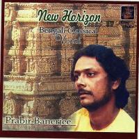 Khambaj Thumri Prabir Banerjee Song Download Mp3