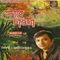 Brishti Pore Adityasubrata Song Download Mp3