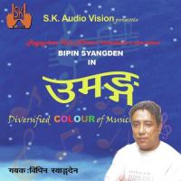 Na Ta Garikhanu Bipin Syangden Song Download Mp3