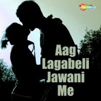 Aaglagabeli Ha Jawani Bipin Bittu Song Download Mp3