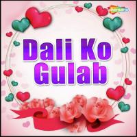 Dali Ko Gulab Gittu,Mina Song Download Mp3