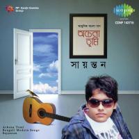 Ei Dhulo Makha Prithibir Sayantan Das Song Download Mp3