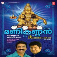 Shabarigiri Ayyappa Unni Menon Song Download Mp3