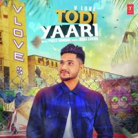 Todi Yaari V Love Song Download Mp3