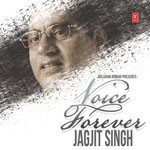 Tere Baare Mein Jab Socha Nahin Tha Jagjit Singh Song Download Mp3