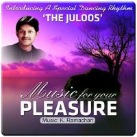 The Juloos Srinivas Bhagi Song Download Mp3