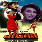 Mere Dil Ko Karrar Udit Narayan,Sadhana Sargam Song Download Mp3